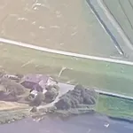 Hemenswarft Direkt An Der Nordsee Mit Meerblick