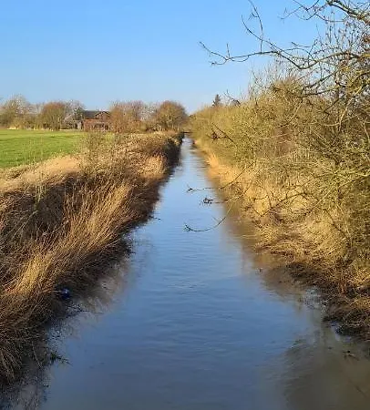 Hemenswarft Direkt An Der Nordsee Mit Meerblick