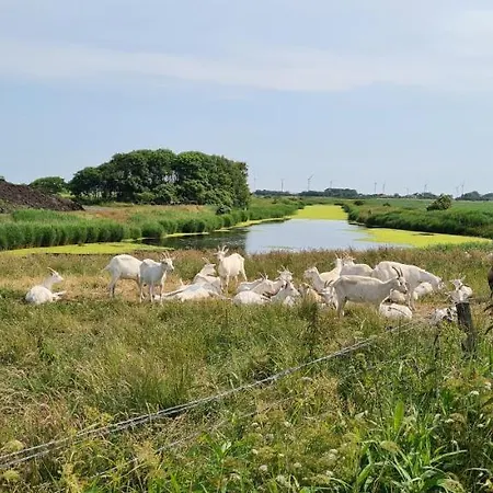 Hemenswarft Direkt An Der Nordsee Mit Meerblick Apartament Emmelsbüll-Horsbüll